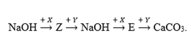 Cho sơ đồ chuyển hóa:  Biết: X, Y, Z, E là các hợp chất khác nhau và khác CaCO3 (ảnh 1)