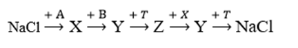 Cho sơ đồ chuyển hóa:  Biết A, B, X, Y, Z, T là các hợp chất khác nhau; X, Y, Z có chứa natri; MX + MZ = 96 (ảnh 1)