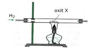 Tiến hành phản ứng khử oxit X thanh kim loại bằng khí H2 (dư) theo sơ đồ hình vẽ dưới đây:   Oxit X là (ảnh 1)