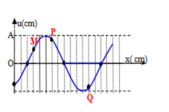 Một sợi dây đàn hồi đủ dài đang có sóng ngang hình sin truyền qua theo chiều dương (ảnh 1)