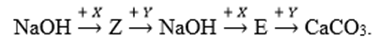 Cho sơ đồ chuyển hóa:   Biết X, Y, Z, E là các hợp chất khác nhau và khác CaCO3; mỗi mũi tên ứng với một phương trình hóa học của phản ứng giữa hai chất tương ứng. Các chất X, Y thỏa mãn sơ đồ trên lần lượt là         A. NaHCO3, CaCl2.	B. NaHCO3, Ca(OH)2.         C. CO2, CaCl2.	D. Ca(HCO3)2, Ca(OH)2. (ảnh 1)