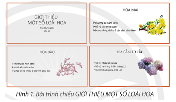 Một bạn tạo được bản trình chiếu gồm bốn trang chiếu như ở Hình 1, theo em bạn đã làm (ảnh 1)