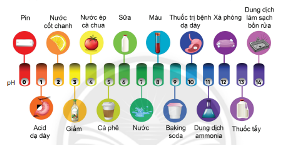 Hình vẽ sau đây giới thiệu các giá trị pH của một số sản phẩm hàng ngày: (ảnh 1)