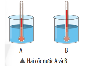 Nước trong hai cốc A và B có thể tích bằng nhau và nhiệt độ được biểu thị bởi nhiệt kế trong hình bên. (ảnh 1)