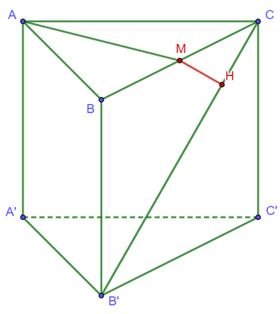 Cho Hình Lăng Trụ Đứng Abc.A'B'C' Có Đáy Abc Tam Giác Vuông Cân