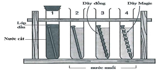 Cho 4 thí nghiệm như hình vẽ (biết đinh làm bằng thép):   Số thí nghiệm Fe bị ăn mòn điện hóa trước là A. 1.	B. 2.	C. 4.	D. 3. (ảnh 1)