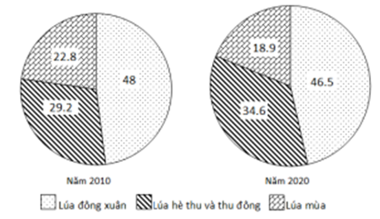 Cho biểu đồ về sản lượng lúa phân theo mùa vụ ở nước ta năm 2010 và 2020  (Đơn vị: %)    (Nguồn số liệu theo Niên giám thống kê Việt Nam 2021, NXB Thống kê. 2022) Biểu đồ thể hiện nội dung nào sau đây?  A. Sản lượng lúa phân theo mùa vụ nước ta.  B. Tốc độ tăng trưởng sản lượng lúa phân theo mùa vụ nước ta.  C. Cơ cấu sản lượng lúa phân theo mùa vụ nước ta.  D. Giá trị sản lượng lúa phân theo mùa vụ nước ta.  (ảnh 1)