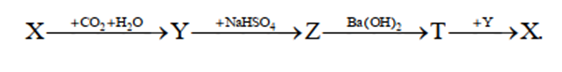 Cho sơ đồ chuyển hóa sau:  Biết X, Y, Z, T đều là hợp chất của natri. Các chất X và T tương ứng là (ảnh 1)