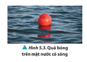 Quan sát Hình 5.3 và dự đoán phương chuyển động của quả bóng khi có sóng trên mặt nước trong điều kiện lặng gió.   (ảnh 1)