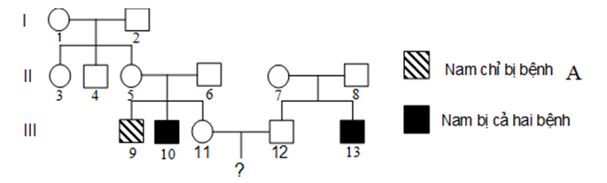 Ở người, bệnh A và bệnh B là hai bệnh do đột biến gen lặn nằm ở vùng không tương đồng trên nhiễm sắc thể giới tính X quy định, (ảnh 1)