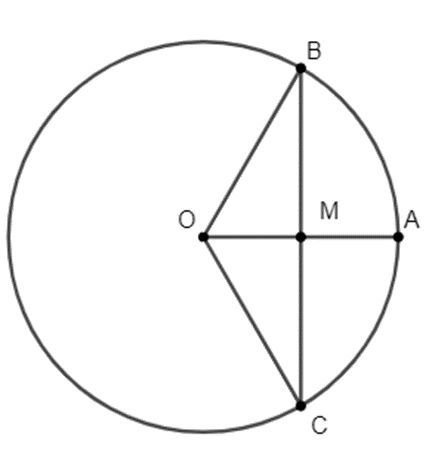 Cho đường tròn (O) bán kính OA = 4 cm. Dây BC vuông góc với OA tại trung (ảnh 1)