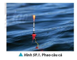 Xét sóng nước truyền qua vị trí của phao câu cá đang nổi trên mặt nước khi lặng gió như Hình 5P1. Phao có trôi đi theo phương truyền của sóng nước không? Vì sao? (ảnh 1)