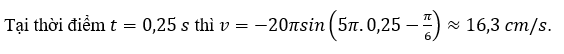 Một vật dao động điều hòa theo phương trình x = 4cos (5pit - pi/6) (x tính bằng (ảnh 2)
