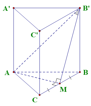 Cho lăng trụ đều ABC.A'B'C' có cạnh đáy bằng a, góc giữa đường thẳng AB' và mặt phẳng (BCC'B') bằng 30o. Tính thể tích khối lăng trụ ABC.A'B'C' (ảnh 1)