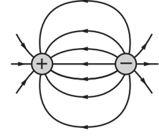 Một điện tích dương và một điện tích âm bằng nhau về độ lớn đặt cạnh nhau. Hình vẽ nào sau đây biểu diễn đúng hình dạng đường sức của điện trường gây bởi hai điện tích này? (ảnh 1)