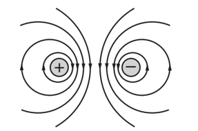 Một điện tích dương và một điện tích âm bằng nhau về độ lớn đặt cạnh nhau. Hình vẽ nào sau đây biểu diễn đúng hình dạng đường sức của điện trường gây bởi hai điện tích này? (ảnh 4)