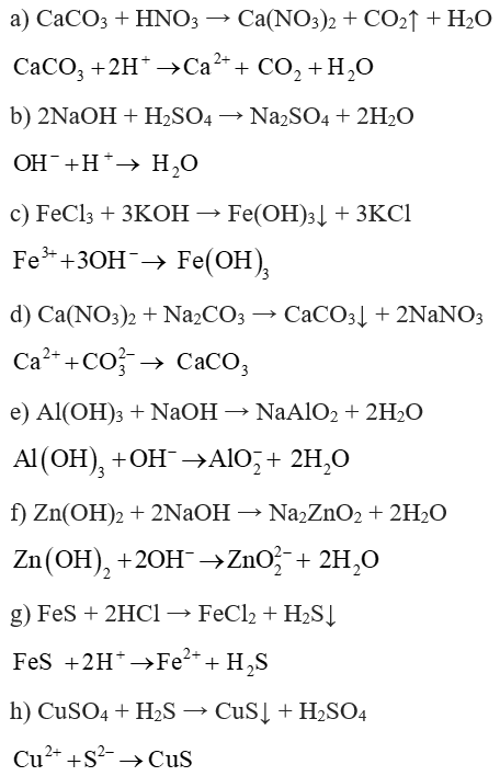 Viết phương trình phân tử và ion rút gọn nếu có khi trộn lẫn các chất  a) dd HNO3 và CaCO3  b) dd H2SO4 và NaOH  c) dd KOH và dd FeCl3  d) dd Ca(NO3)2 và Na2CO3  e) dd NaOH và Al(OH)3  f) dd NaOH và Zn(OH)2  g) FeS và dd HCl  h) dd CuSO4 và dd H2S  i) dd NaHCO3 và HCl  j) Ca(HCO3)2 và HCl (ảnh 1)
