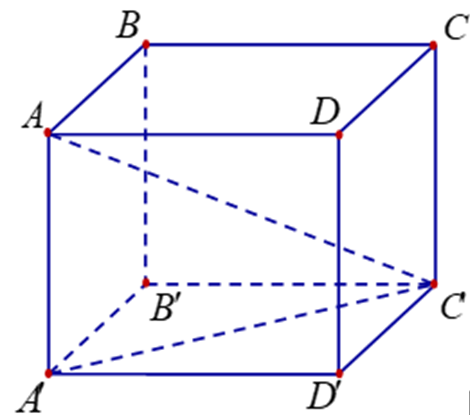 Cho hình hộp đứng ABCD.A'B'C'D' có đáy là hình vuông, cạnh bên AA' = 3a và đường chéo AC' = 5a. Tính thể tích khối hộp ABCD.A'B'C'D' (ảnh 1)
