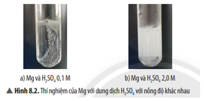 Ống nghiệm nào có hiện tượng sủi bọt khí nhanh hơn? Giải thích. (ảnh 1)