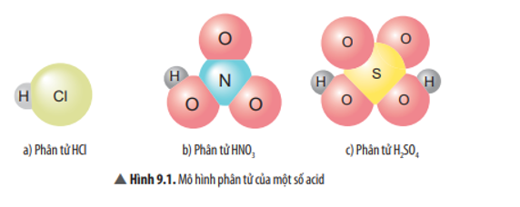 Thành phần phân tử của các chất trong Hình 9.1 có điểm gì giống nhau? (ảnh 1)