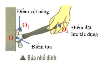 Búa nhổ đinh hoạt động theo nguyên tắc đòn bẩy, trong đó moment lực tác dụng làm (ảnh 2)