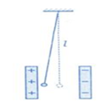 Một quả cầu khối lượng 4,5.10-3 kg treo vào một sợi dây dài 1 m. Quả cầu nằm giữa hai tấm kim loại song song, thẳng đứng như hình vẽ. Hai tấm cách nhau 4 cm. Đặt một hiệu điện thế 750 V vào hai tấm đó thì quả cầu lệch ra khỏi vị trí ban đầu 1 cm. Tính điện tích của quả cầu. Lấy g = 10 m/s2   A. q =  C. B. q = - C. C. q = - C. D. q =  C. (ảnh 1)