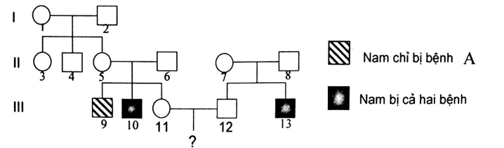 Ở người, bệnh A và bệnh B là hai bệnh do đột biến gen lặn nằm ở vùng không tương đồng trên NST giới tính X, khoảng cách giữa hai gen là 16cM. (ảnh 1)