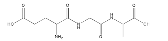 Peptit X với công thức cấu trúc như sau:   Thủy phân trọn vẹn 0,1 mol X vô hỗn hợp KOH (ảnh 1)