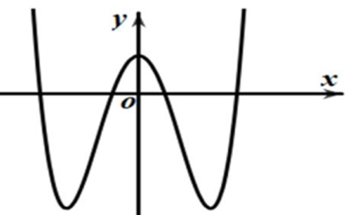 Hàm số nào dưới đây có đồ thị như đường cong trong hình dưới đây? (ảnh 1)