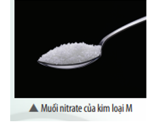 (X) là muối nitrate của kim loại M. Ở điều kiện thường, (X) là chất rắn, màu trắng (ảnh 1)