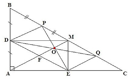 Cho ∆ABC vuông tại A, M là trung điểm của BC, D, E lần lượt là hình chiếu của M (ảnh 1)