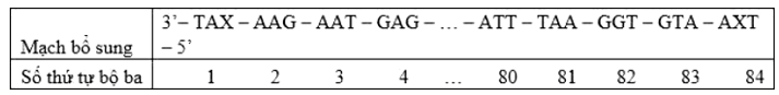 Một đoạn gen cấu trúc có trình tự nuclêôtit trên mạch bổ sung như sau:     Biết trong đoạn mạch trên chỉ có một bộ ba mở đầu và một bộ ba kết thúc, bộ ba 5’UGG3’ (ảnh 1)