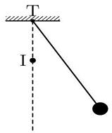 Một con lắc đơn gồm dây treo có chiều dài l = 120 cm chịu được lực căng  (ảnh 1)