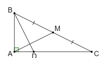 Cho tam giác ABC vuông tại A có AB = a, AC = 2a. Gọi M là trung điểm của BC, điểm D thuộc AC sao cho (ảnh 1)