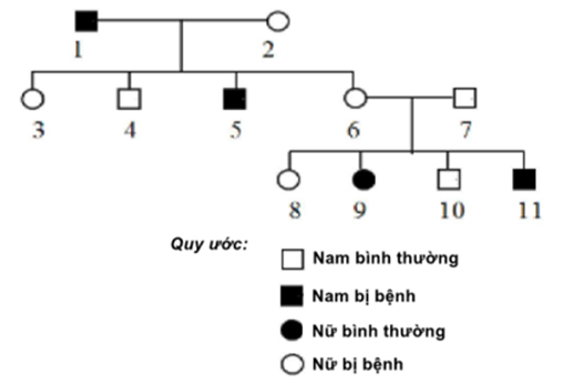 Cho sơ đồ phả hệ:  Sơ đồ phả hệ trên mô tả sự di truyền một bệnh ở người do một trong hai alen của một gen quy định (ảnh 1)