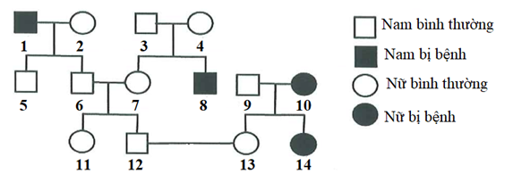 Phả hệ dưới đây mô tả sự di truyền của bệnh bạch tạng, do một trong hai alen của một gen nằm trên NST thường quy định. (ảnh 1)