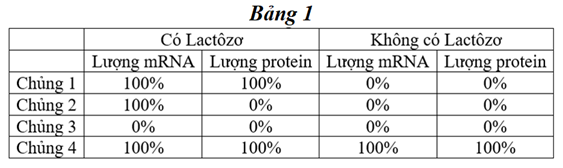 Bảng 1 mô tả hàm lượng mARN và prôtêin tương đối của gen Z thuộc operon Lac ở các chủng vi khuẩn E. coli trong môi trường có hoặc (ảnh 1)