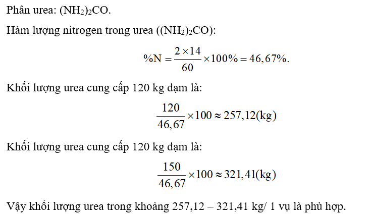 Giả sử một hecta trồng lúa cho loại đất bình thường cần 120 – 150 kg đạm (N)/1 vụ (ảnh 1)