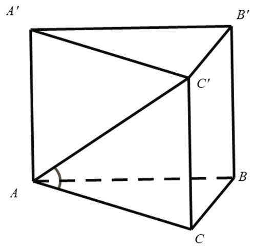 Cho hình lăng trụ đều ABC.A'B'C' có AB = căn bậc hai 3, AA' = 1. Góc giữa AC' và (ABC) bằng (ảnh 1)