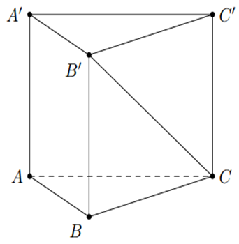 Cho khối lăng trụ đứng ABC.A'B'C' có đáy là tam giác đều cạnh 2a và góc giữa đường thẳng CB' và mặt phẳng (ABC) bằng 45 độ. Thể tích của khối lăng trụ đã cho bằng (ảnh 1)