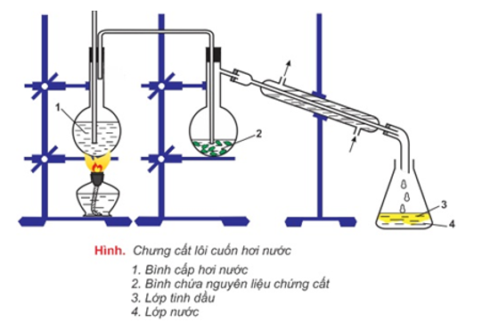 Trình bày quy trình chiết suất tinh dầu (dụng cụ, dung môi, nguyên liệu, thời gian, …) (ảnh 1)