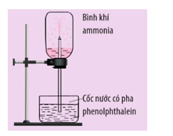Cho thí nghiệm được thiết kế như hình dưới đây:   Trong thí nghiệm này, nước pha phenolphthalein sẽ bị hút lên bình chứa khí ammonia và phun thành những tia màu hồng. Hãy giải thích hiện tượng trên. (ảnh 1)