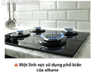 Gas dùng làm nhiên liệu đun nấu trong gia đình có thành phần chủ yếu là propane và (ảnh 1)