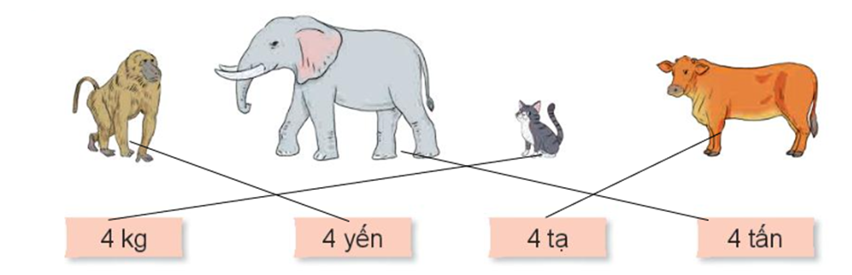 Chọn số cân nặng thích hợp với mỗi con vật. (ảnh 2)