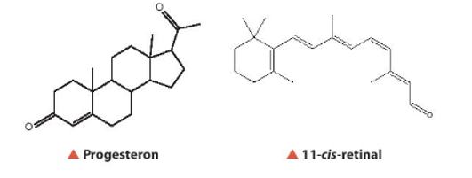 Hợp chất carbonyl đơn giản nhất là aldehyde và ketone đơn chức. Chúng có nhiều ứng dụng trong ngành công nghiệp hoá chất cũng như thiên nhiên (ảnh 1)