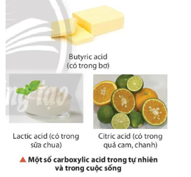 Một số loại acid hữu cơ được dùng trong thực phẩm như acetic acid, lactic acid. Thường gặp nhất là (ảnh 1)