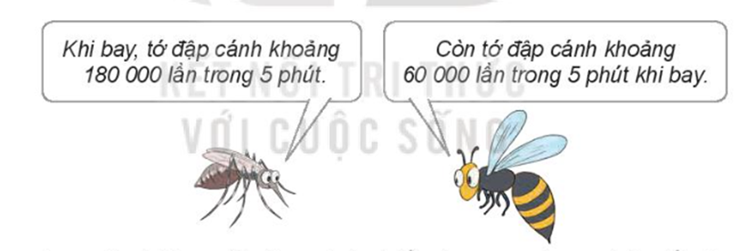 Khi bay trong 5 phút, muỗi đập cánh nhiều hơn ong bao nhiêu lần? (ảnh 1)