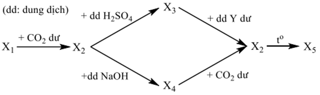 Cho sơ đồ các phản ứng sau:   Biết X1, X2, X3, X4, X5 là các chất khác nhau của nguyên tố nhôm. Các chất X1 và Y lần lượt là         A. NaAlO2 và NH3.	B. Al2(SO4)3 và CO2.         C. Ba(AlO2)2 và NH3.	D. NaAlO2 và NaOH. (ảnh 1)