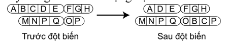 Hình vẽ dưới đây mô tả cơ chế phát sinh một dạng đột biến cấu trúc nhiễm sắc thể. Phát biểu nào dưới đây đúng khi nói về dạng đột biến đó?                             (ảnh 1)