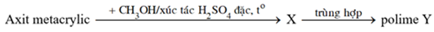 Thực hiện phản ứng chuyển hóa sau:   Tên gọi của Y là         A. Poli (vinyl axetat).	B. Poli (metyl metacrylat).         C. Poli (etyl metacrylat).	D. Poli (metyl acrylat). (ảnh 1)